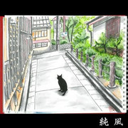 Jun Pu