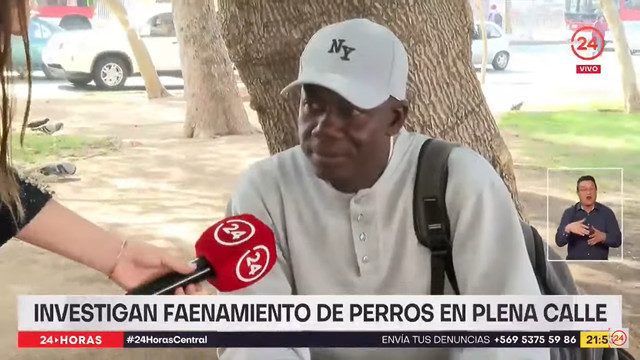 perritos.jpg