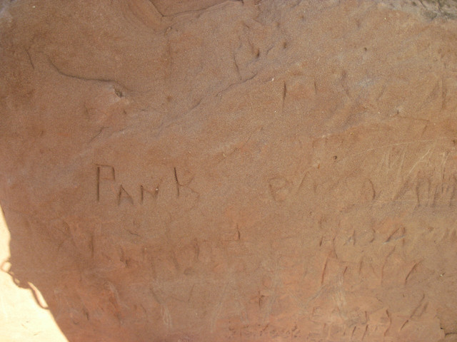 PA080035
