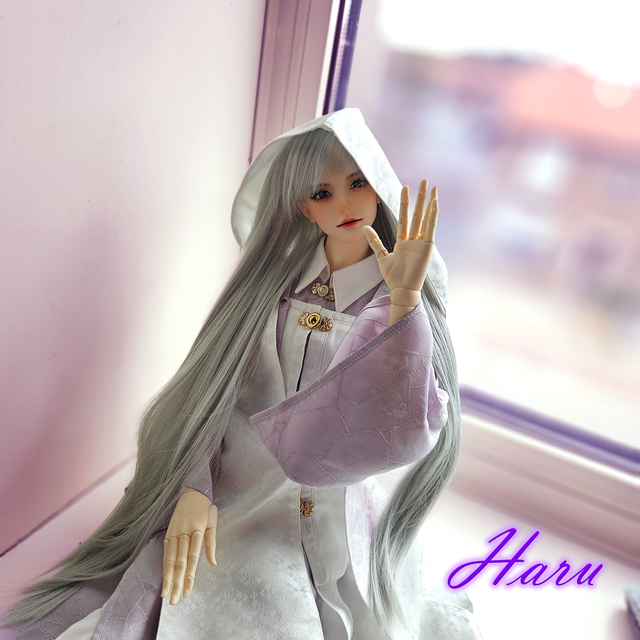 Meet-haru-2