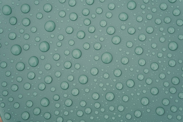 DSCF5820