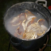 IMGP0933