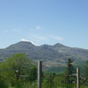 DSCF7910
