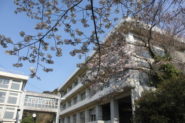 御成中学校.jpg
