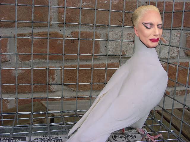 images.jpg