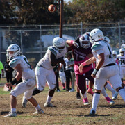 IMG-4337