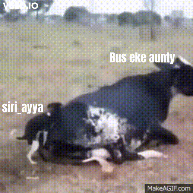 4-P74wb-1.gif