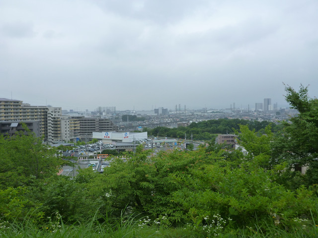 P1310987