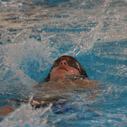 IMG-0362
