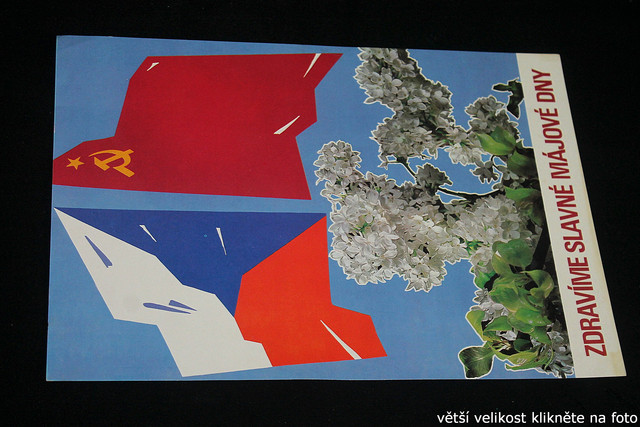 IMG-8603.jpg