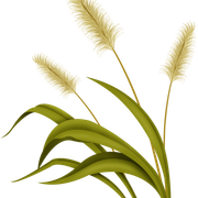0-1ca7b3-c18dc69c-L