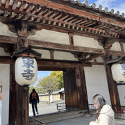 IMG-2943