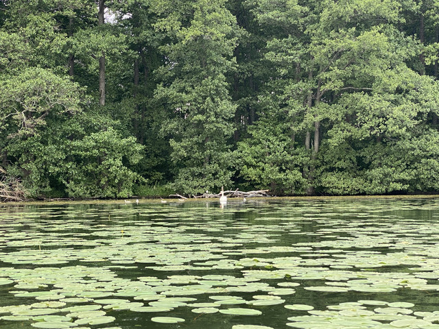 9602671-A-EF89-4-C21-B420-97456-E4-EE936