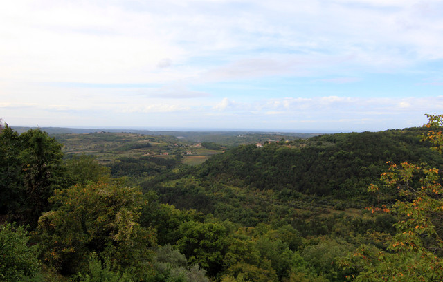 IMG-9595.jpg