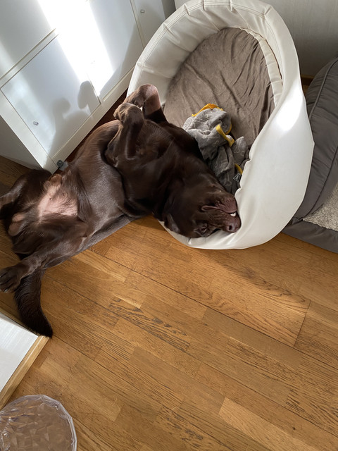 3-FB96-B76-19-F3-4-AFE-81-A7-D8-B76-E481