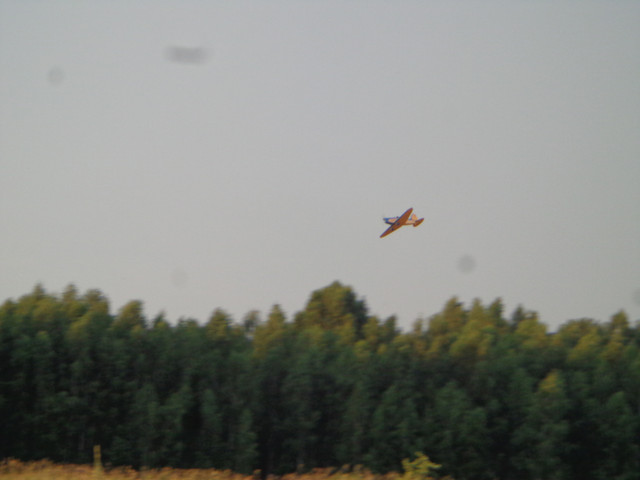 DSC01099.jpg