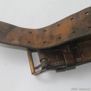 IMG-5146