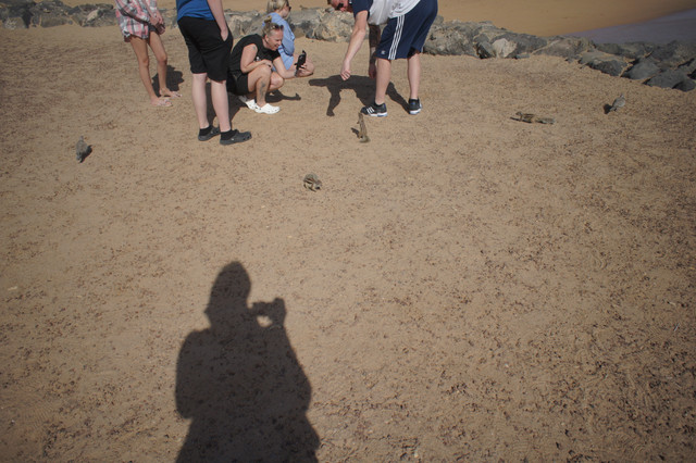 DSC01042.jpg