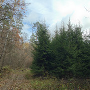 IMG-4341