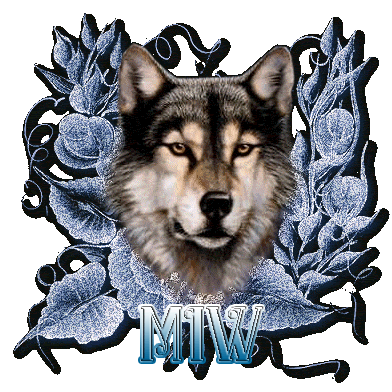 MIW1.png