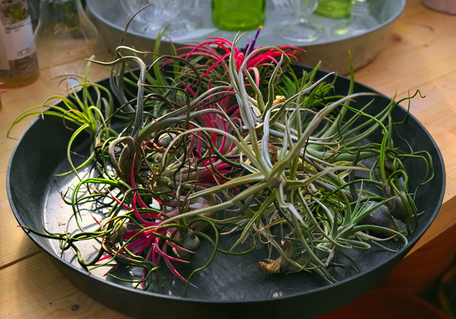 DSCF4422.jpg