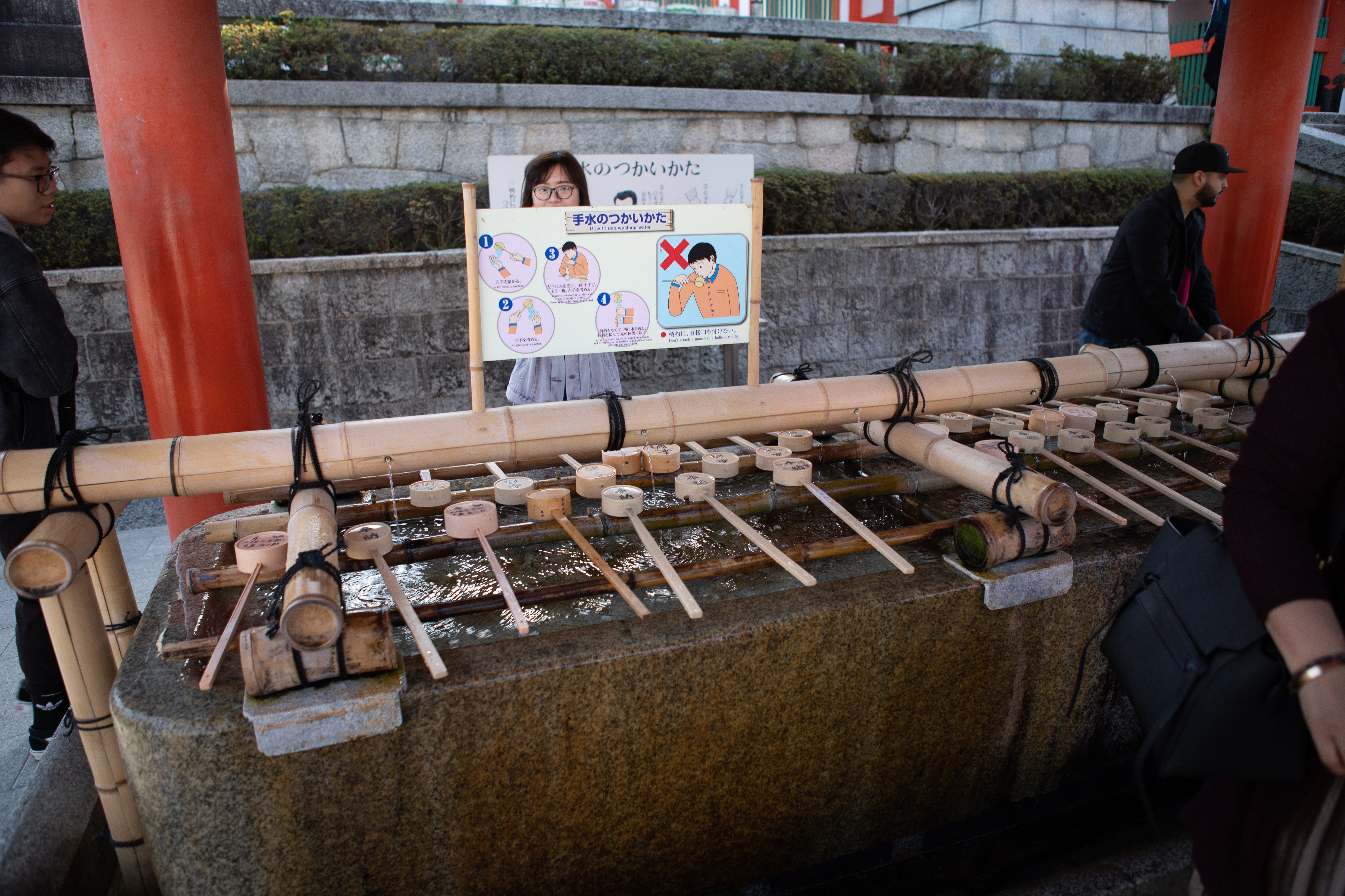 IMG-2501