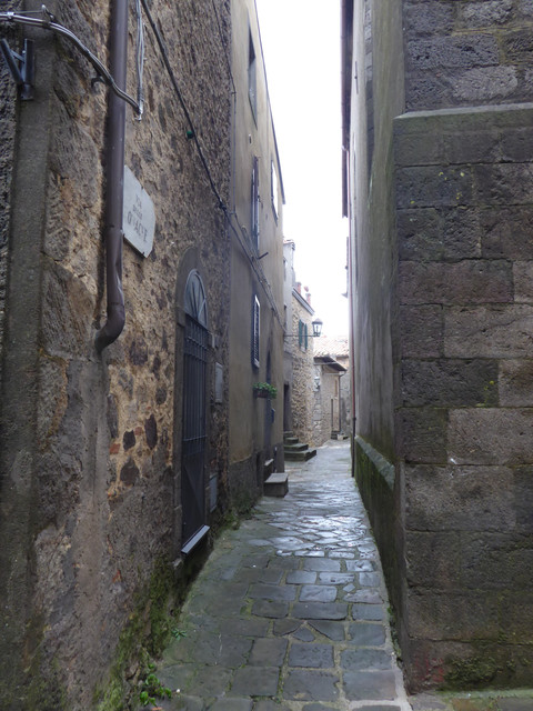 P1010496.jpg