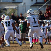 IMG-4286
