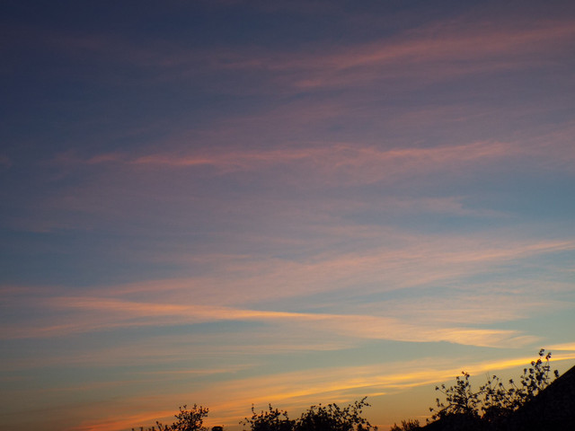 DSCF1154