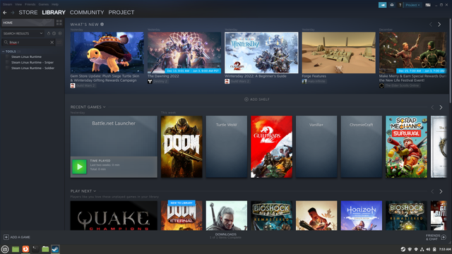 Steam-Linux-Runtime