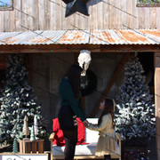 IMG-6471