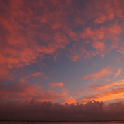 IMG-3619
