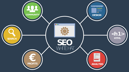 SEO-Expert