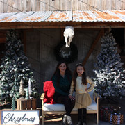 IMG-6487