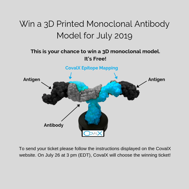 3-D-Model-Content-Website-Campaign.png