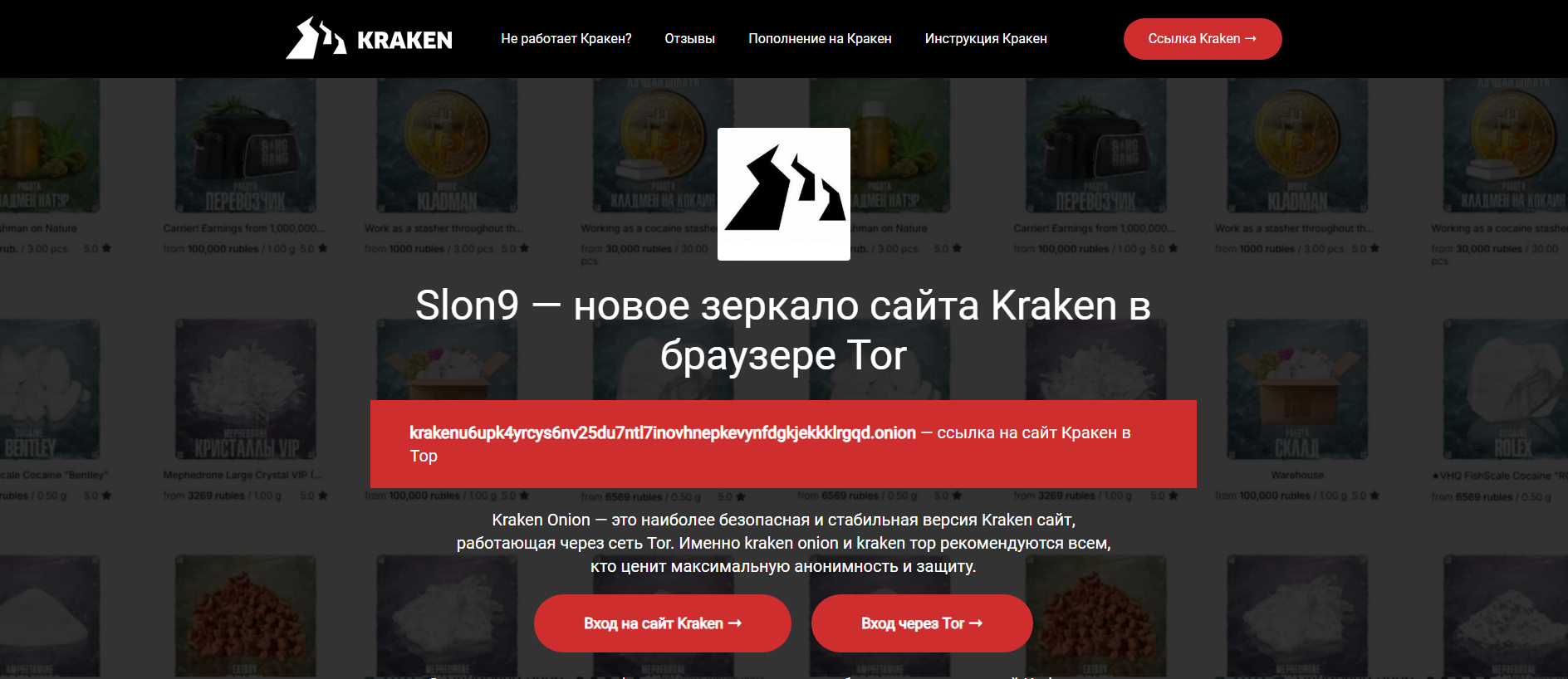 Forensic screenshot of [REDACTED] showing the phishing page layout