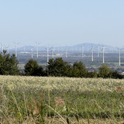 IMG-0296