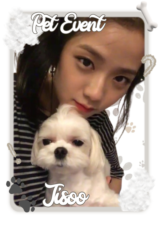 Haewon-Bot-Template8-20250408162630.webp