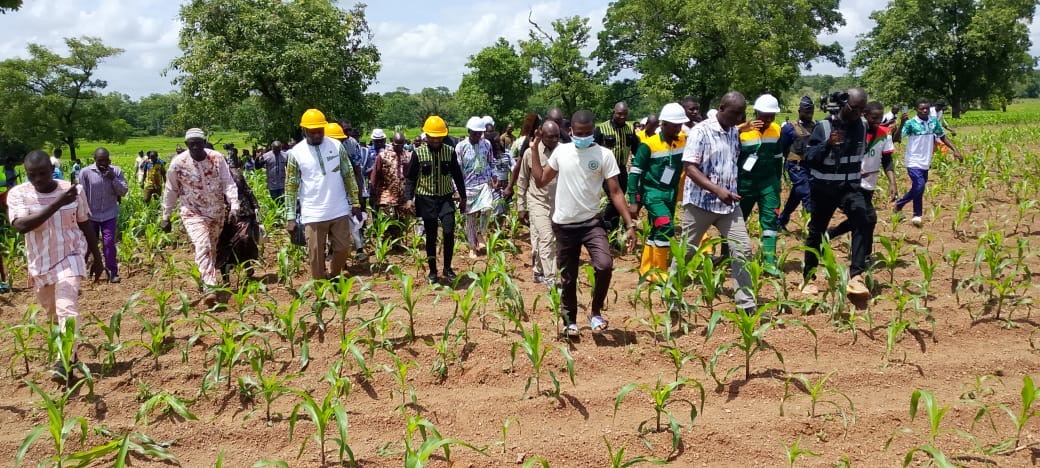 Illustration - Faso ZOM : le Burkina Faso mise 200 hectares sur son autonomie alimentaire