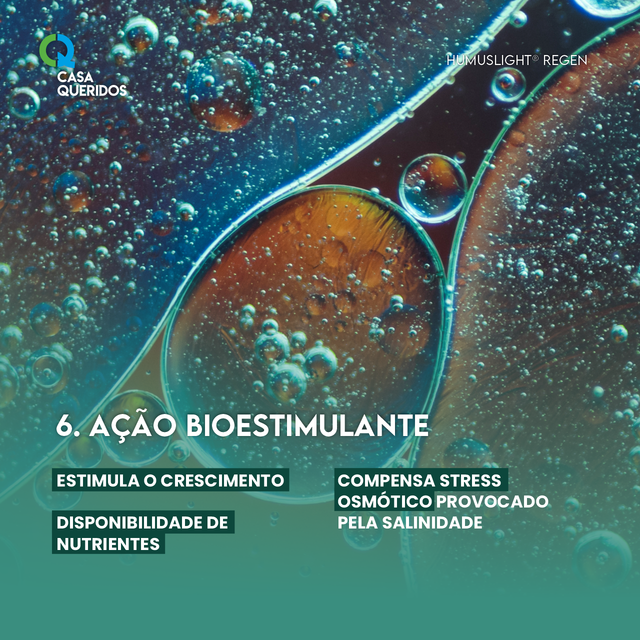Humuslight Regen apresenta a��o bioestimulante
