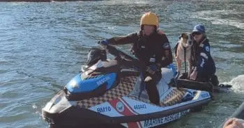 Heroic Rescue Efforts Save Dog Swept into Ocean at Observation Point