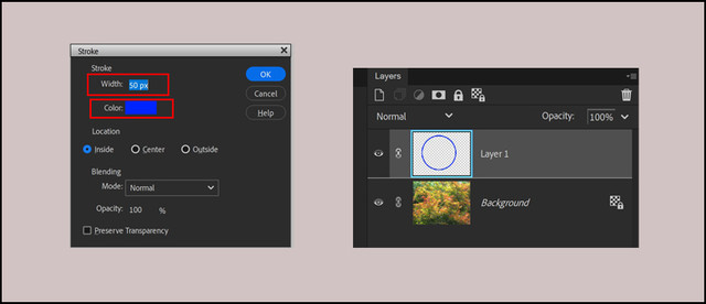 Width-Color-Changes