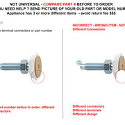 8181636 Correct Incorrect