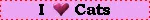 i love cats