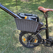 IMG 3256