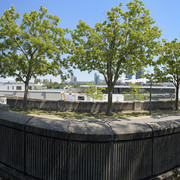 IMG 6123