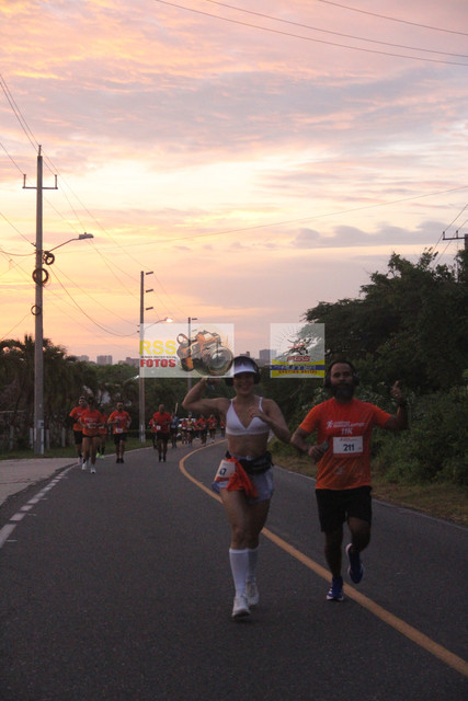 IMG-0231.jpg