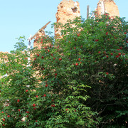 IMG-1758