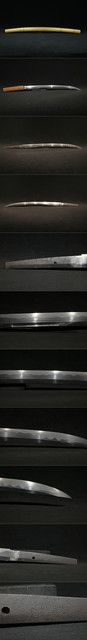 DSC4169