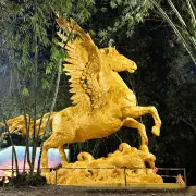 普陀村8